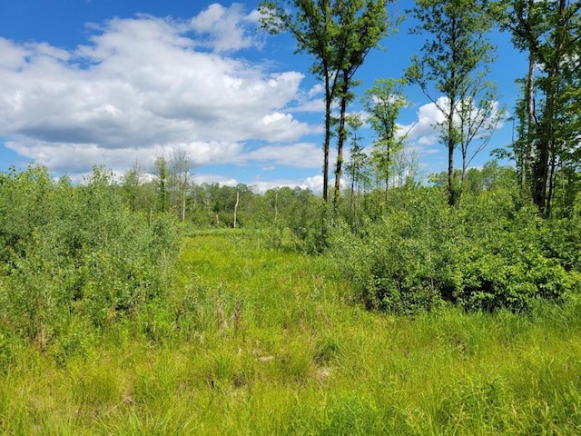 Listing photo 2 for LOT1 Johnson Rd, Pittsville WI 54466