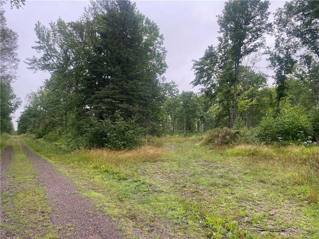 ON Doland Rd, Loretta WI, 54896 land for sale