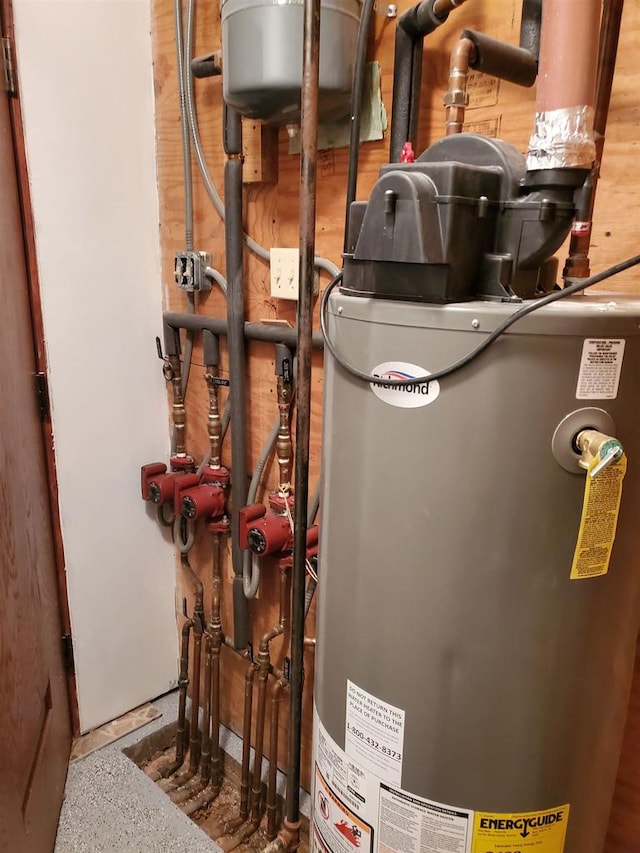 utility room with water heater