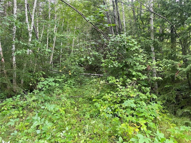 ON Knowles Rd, Loretta WI, 54896 land for sale