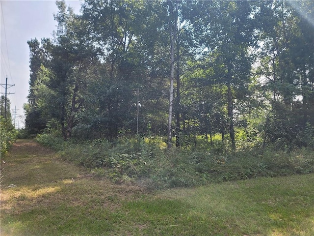 00 2nd Ave, Dallas WI, 54733 land for sale