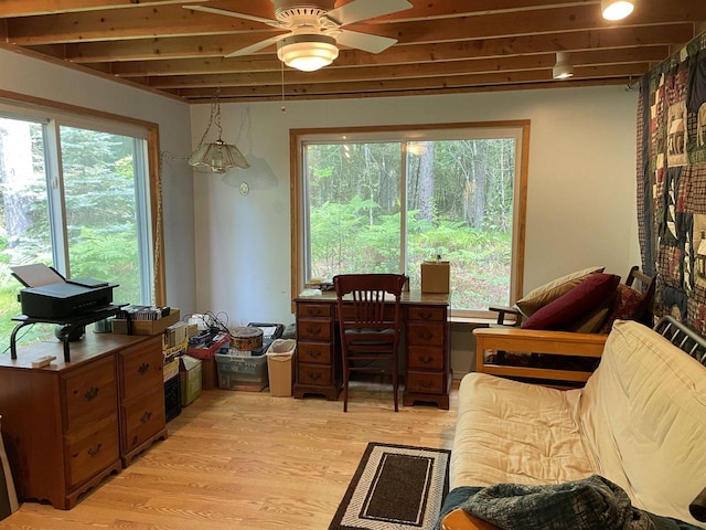 home office featuring light hardwood / wood-style flooring, ceiling fan, a healthy amount of sunlight, and beamed ceiling