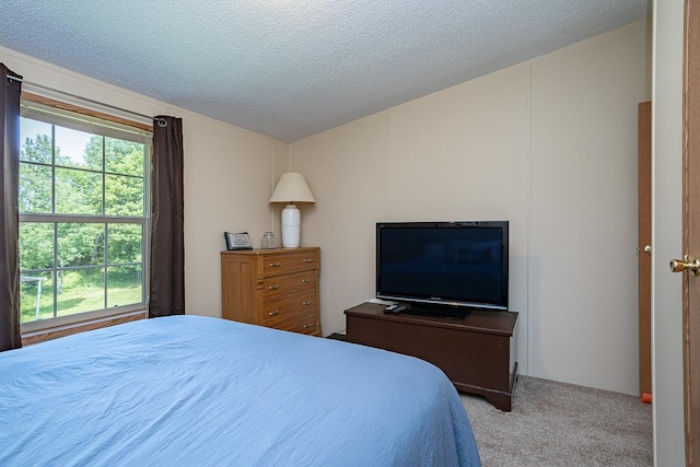 carpeted bedroom with a textured ceiling and multiple windows