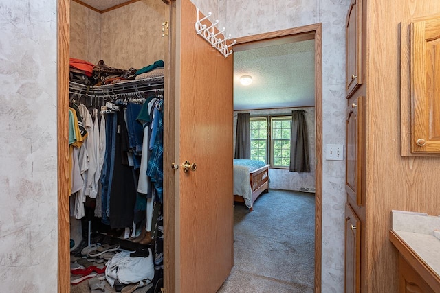 spacious closet featuring carpet