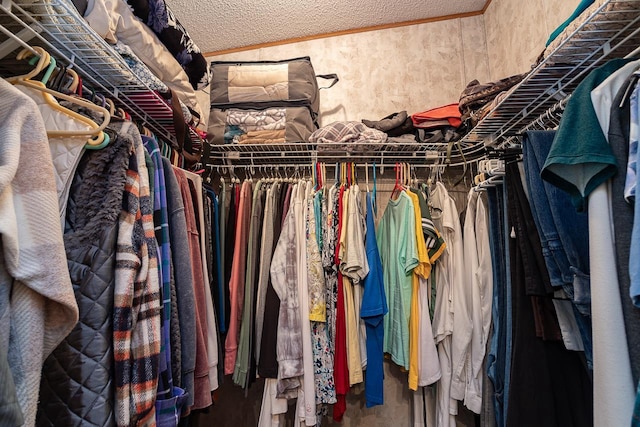 view of walk in closet