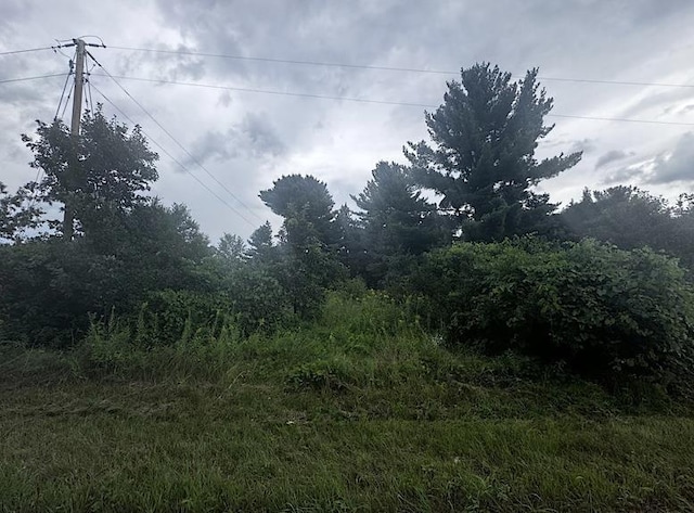 Listing photo 2 for LOT16 Gale Dr, Wisconsin Dells WI 53965