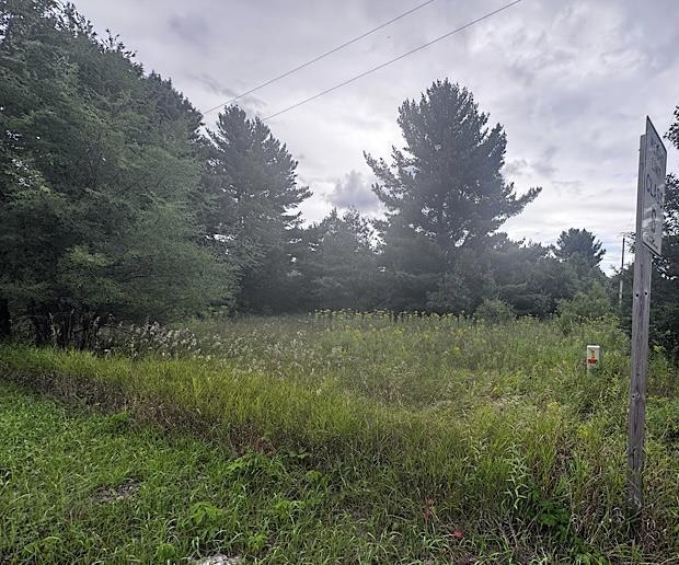 Listing photo 3 for LOT16 Gale Dr, Wisconsin Dells WI 53965