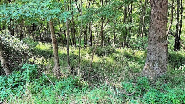 58 Redhawk Trl, Baraboo WI, 53913 land for sale