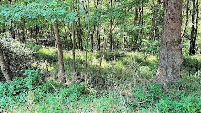 58 Redhawk Trl, Baraboo WI, 53913 land for sale