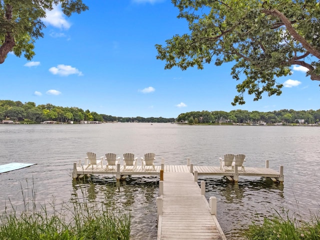 dock area featuring a water view