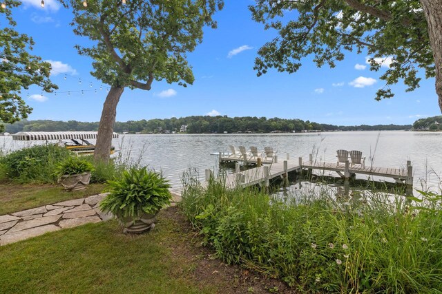 dock area with a water view