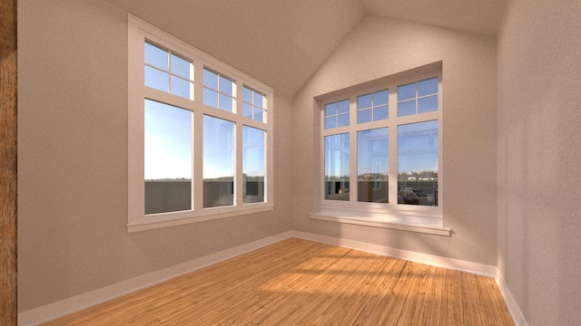 empty room featuring vaulted ceiling and wood-type flooring