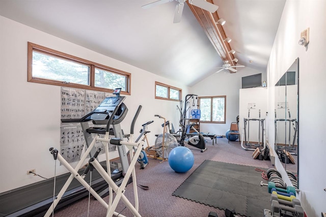 exercise area with ceiling fan, vaulted ceiling, carpet floors, and track lighting