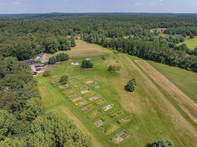 bird's eye view featuring a rural view