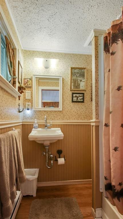 12810 N County Highway T, Hayward, WI 54843 - bathroom with a textured ceiling, hardwood / wood-style flooring, sink, and a baseboard radiator
