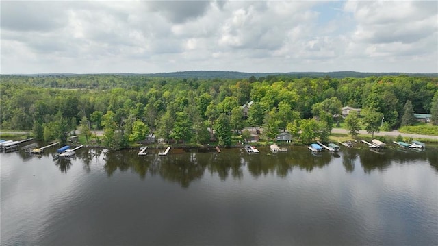 12810 N County Highway T, Hayward, WI 54843 - birds eye view of property with a water view