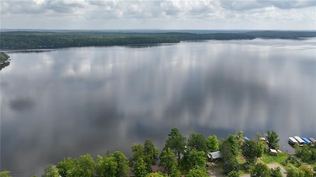 12810 N County Highway T, Hayward, WI 54843 - bird's eye view featuring a water view