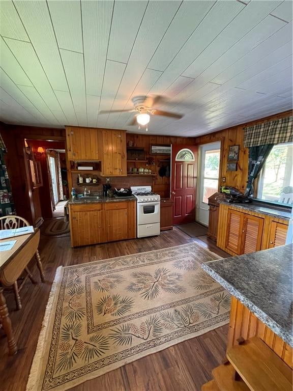 kitchen with ceiling fan, wooden walls, dark hardwood / wood-style floors, and white gas range