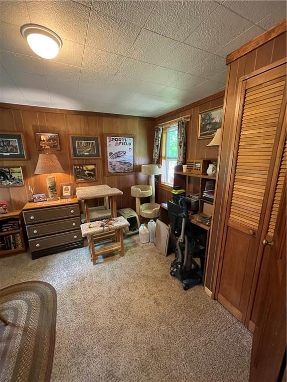 living room with wood walls and carpet floors