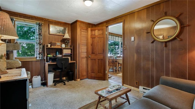 12810 N County Highway T, Hayward, WI 54843 - carpeted office space featuring baseboard heating and wooden walls