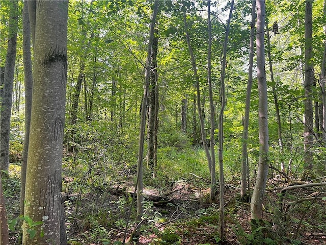 0 Hunter Lake Rd, Winter, WI 54896