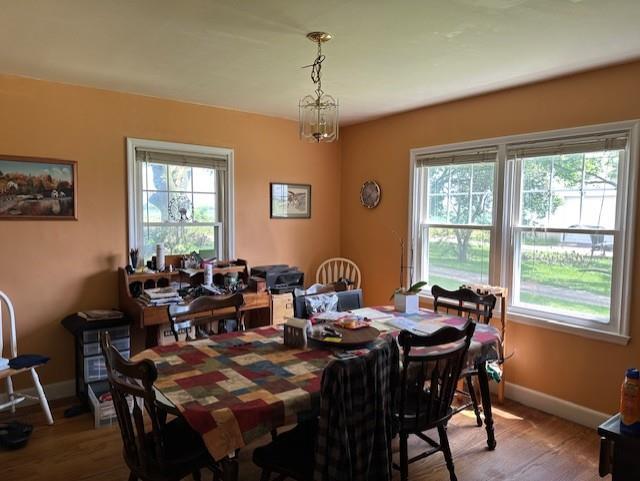 dining room featuring a notable chandelier, hardwood / wood-style floors, and a healthy amount of sunlight