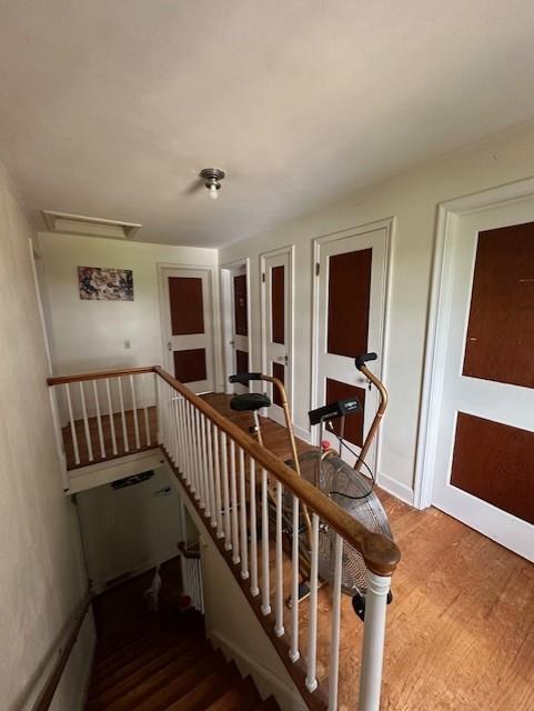 staircase featuring wood-type flooring