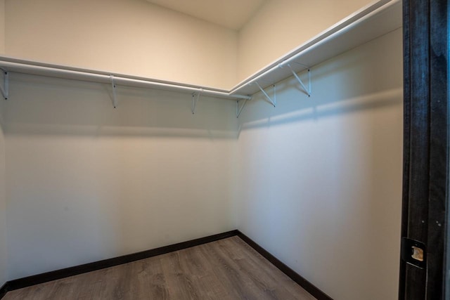 walk in closet with hardwood / wood-style floors