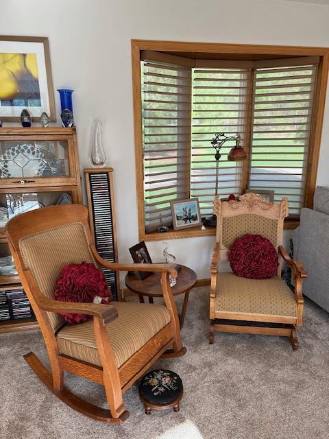 living area with carpet