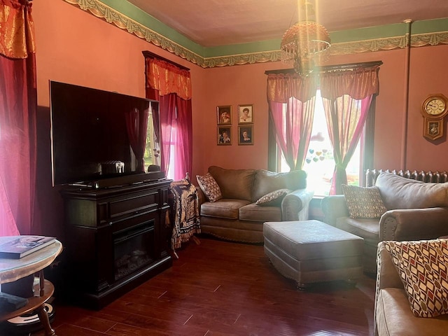 living room featuring dark wood-type flooring