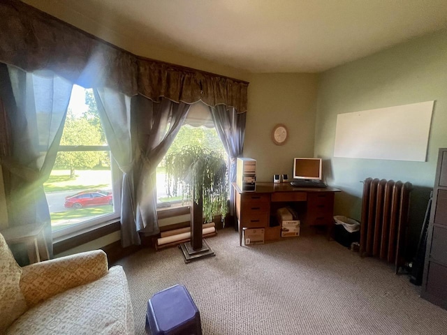 living area with light carpet and radiator heating unit