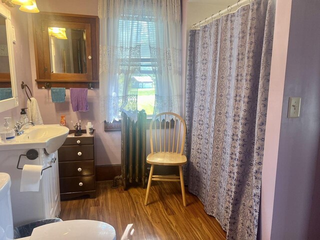 bathroom featuring toilet, hardwood / wood-style flooring, and vanity