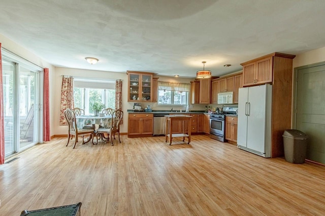 kitchen featuring light wood-type flooring, stainless steel appliances, and pendant lighting