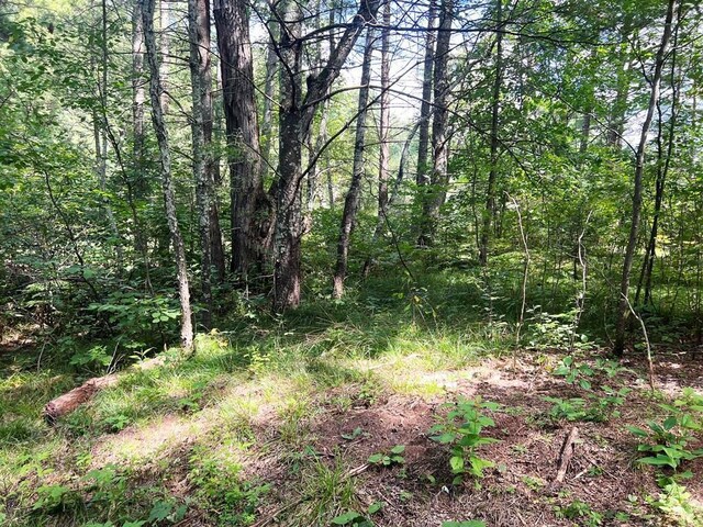 Listing photo 3 for LOT10 Pine River Rd, Merrill WI 54452