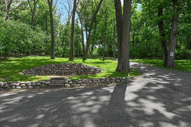 view of property's community with a lawn