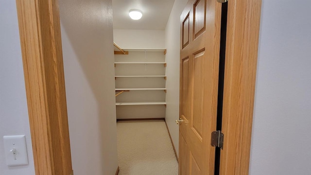 spacious closet with carpet flooring