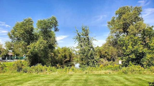 view of yard with a water view