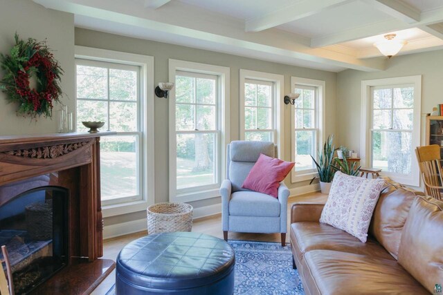 living room featuring beam ceiling and a healthy amount of sunlight