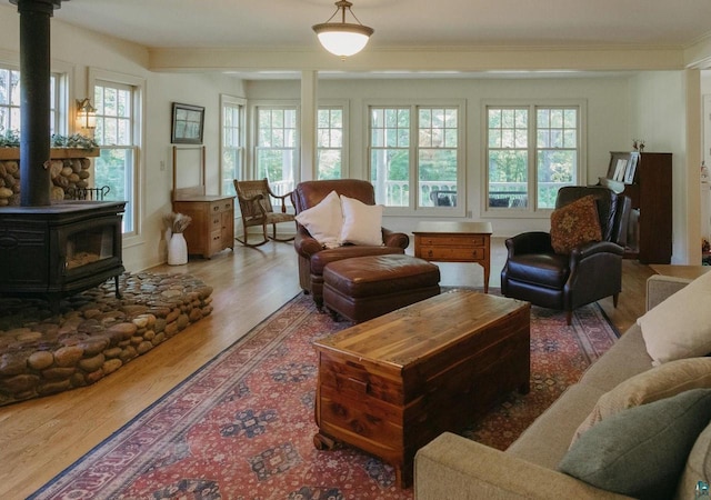 living room featuring plenty of natural light, wood-type flooring, and a wood stove