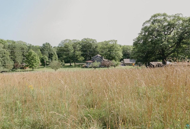 view of local wilderness