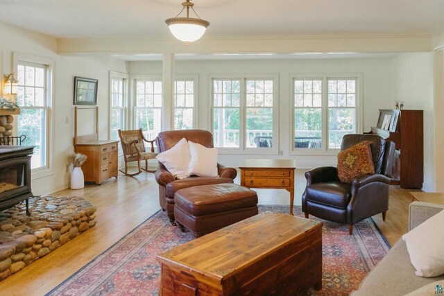 living room featuring light wood-type flooring, ornamental molding, a healthy amount of sunlight, and a wood stove