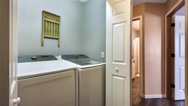 walk in closet featuring wood finished floors