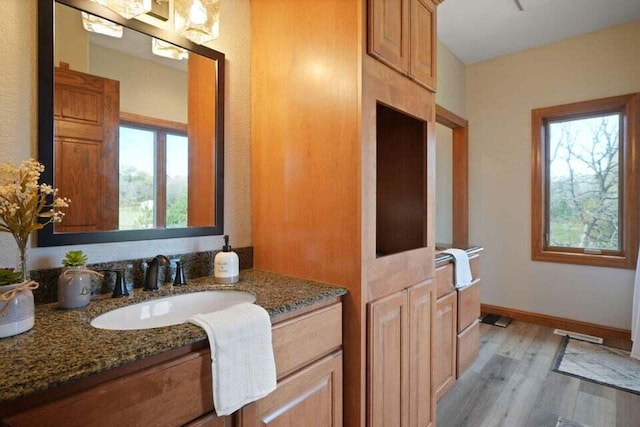 bathroom with vanity and hardwood / wood-style floors