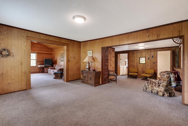 living area with wooden walls, ornamental molding, a textured ceiling, and carpet floors