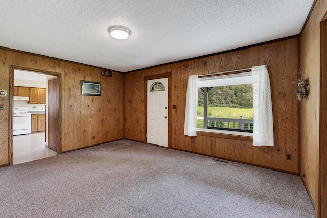 unfurnished room featuring light colored carpet, wood walls, and a textured ceiling