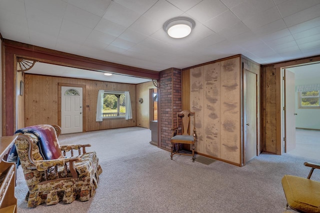 living area with carpet floors and wood walls