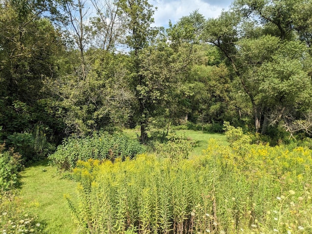 view of local wilderness with a wooded view