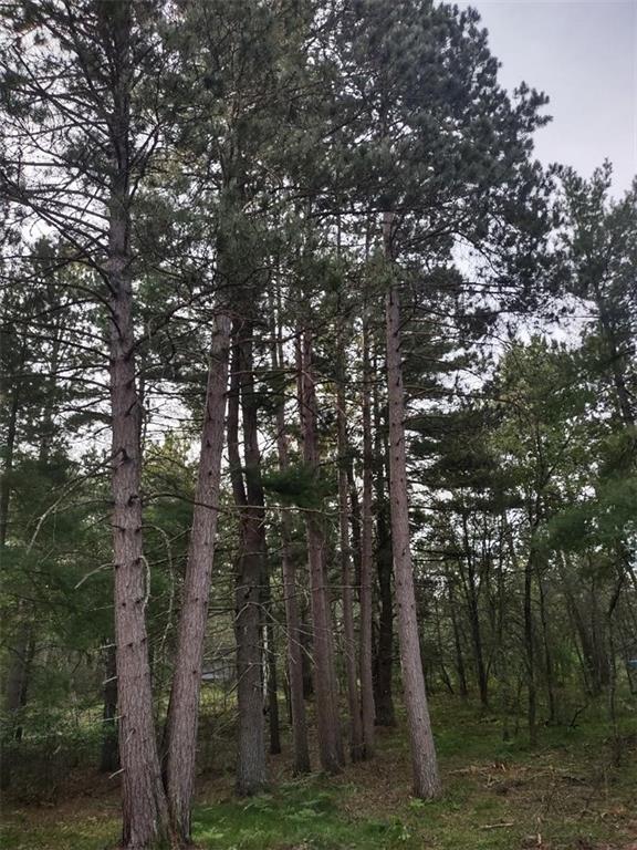 1XXX Lynx Rd, Barnes WI, 54873 land for sale