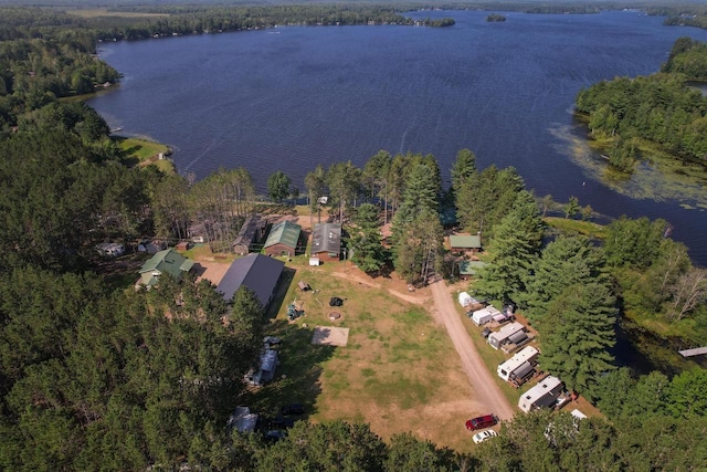 bird's eye view with a water view and a wooded view