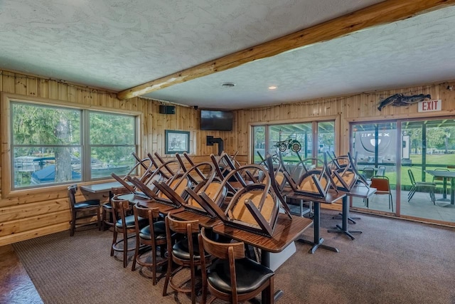 interior space featuring carpet floors, a textured ceiling, and wooden walls